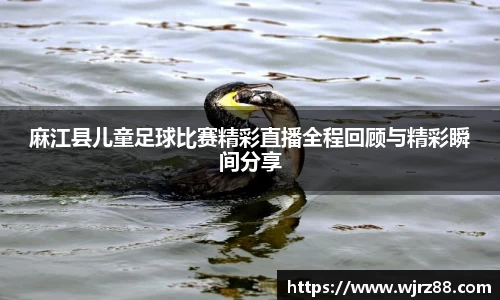 泛亚电竞app下载