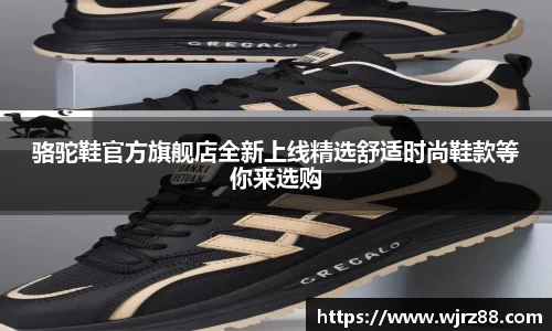 泛亚电竞手机app